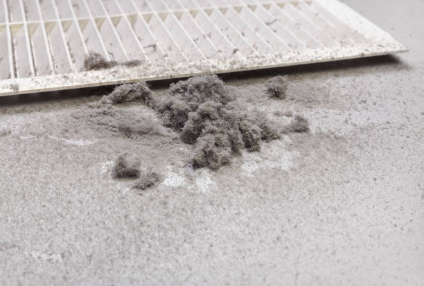 Best HVAC Duct Inspection Services  in Cerritos, CA